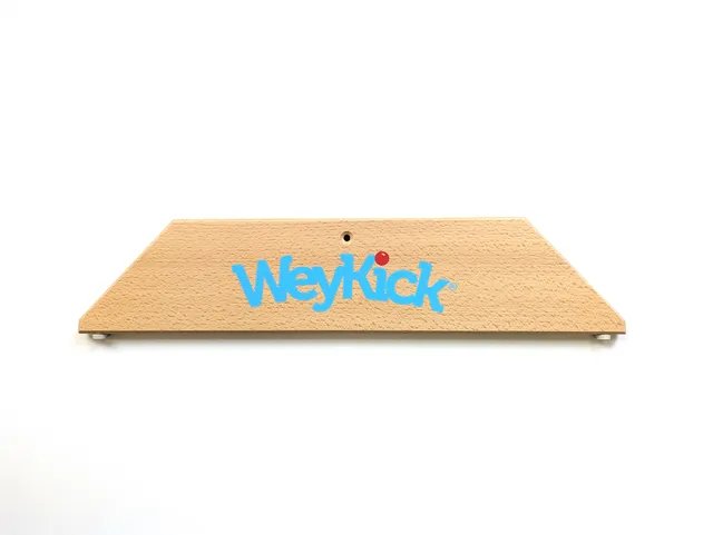 weykick-stadion-fu-mit-logo-blau-ersatzfu image 1